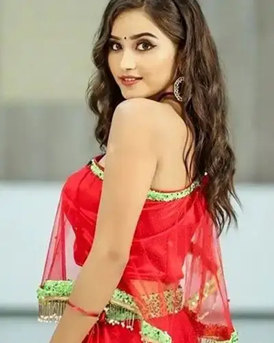 Call Girls Service Hiriyur